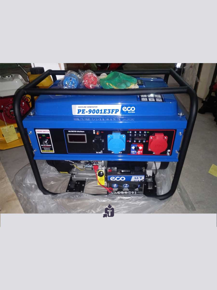 arenda-prokat-benzinovogo-elektrogeneratora-eco-pe-9001e3fp_56460.jpg