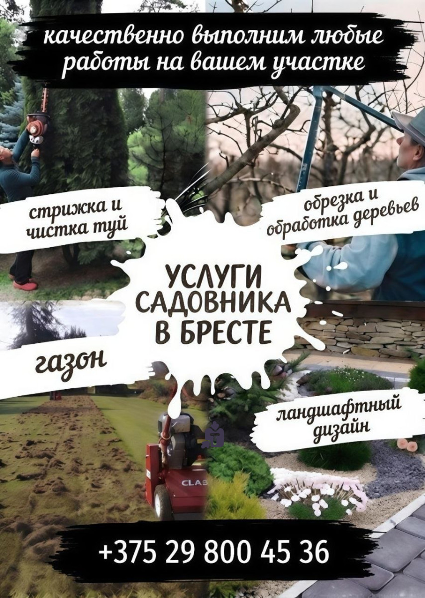 rascistka-territorii_43254.jpg